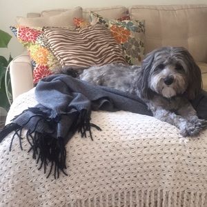 Hannah Rose 100% Cashmere Pashmina